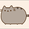 catsstealporkchops