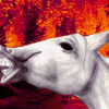 ThatHorse