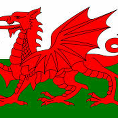 Beginner Welsh