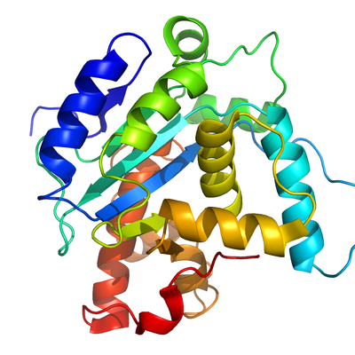 20 Amino Acids