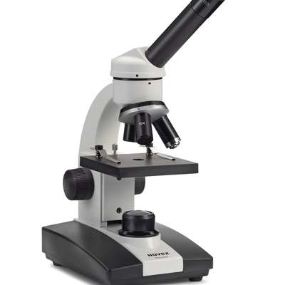 BVetMed 3 Clinical Pathology & Lab Diagnostics