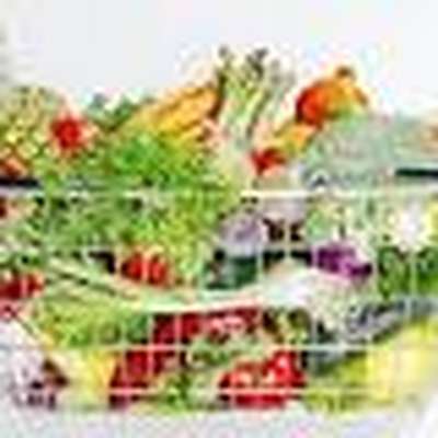 Food Products from Plants