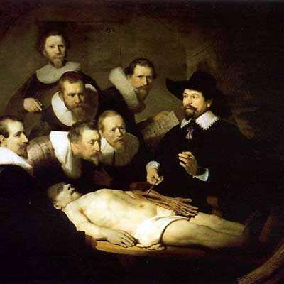 Anatomy