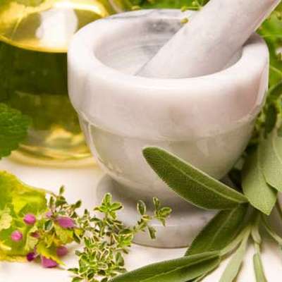 Biological Chemistry for Herbalists