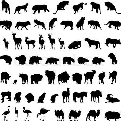 Animals