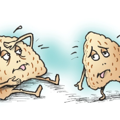 BVetMed 3 Endocrine