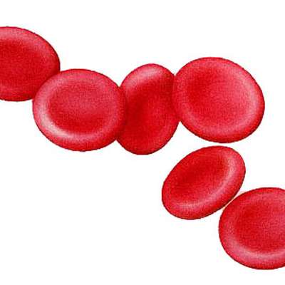 Blood Typing