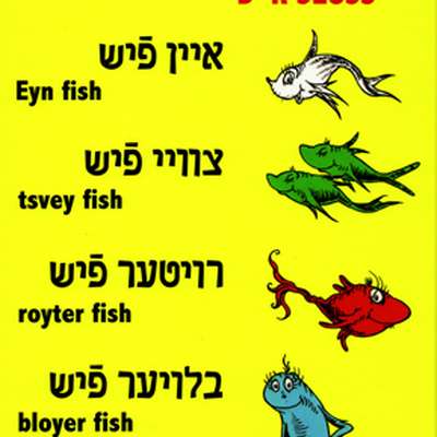Yiddish 101