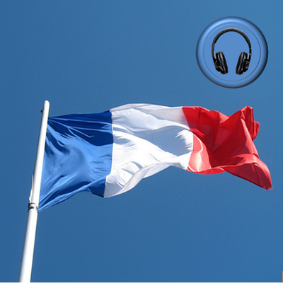  450 Most Common French Verbs