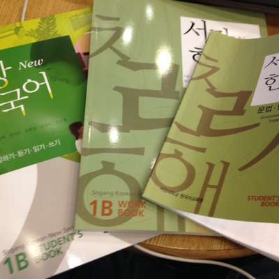 "Sogang Korean New Series" 1B Vocabulary