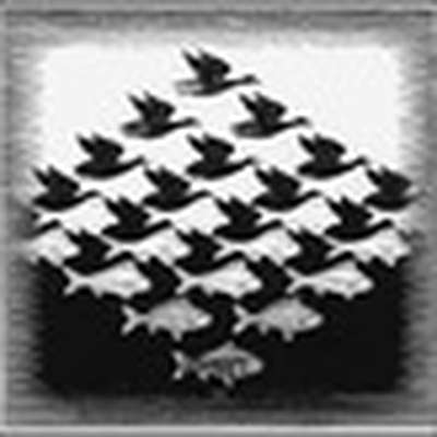 Birds, fish and water animals