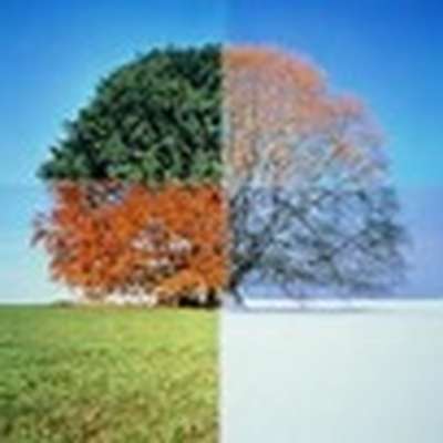 Months and Seasons