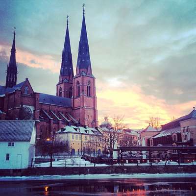 450+ Swedish nouns in definite form