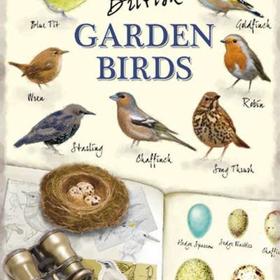 British Garden Birds