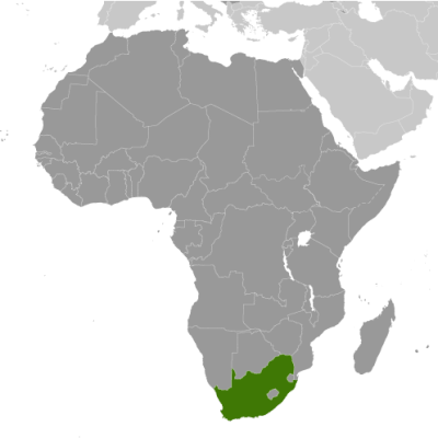 Basic Afrikaans I