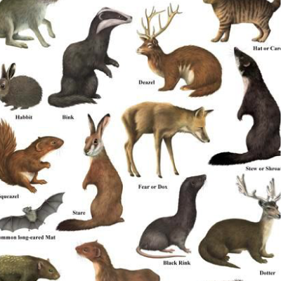 Guardian Wallcharts
