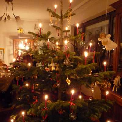 "O Tannenbaum" (with audio)