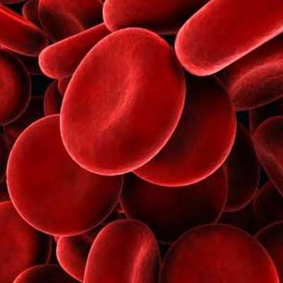 Haematology