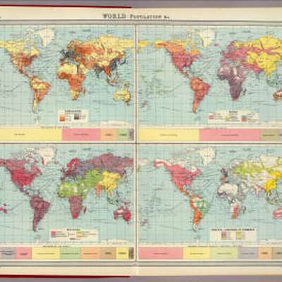 The Partial Polyglot
