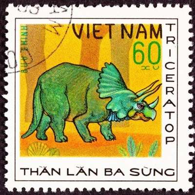 Vietnamese Adjectives